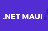 移动开发进阶：使用NET MAUI与RESTAPI实现天气查询功能